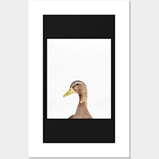 Duck print, Nursery, Animal, Kids room, Modern art, Wall decor Posters and Art